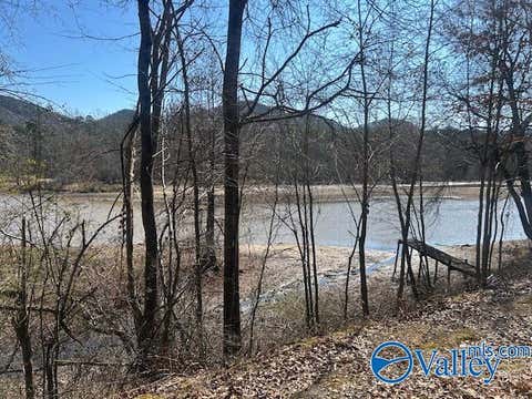Vacant Land For Sale - 330 County Road 165<br/> Cedar Bluff, AL 35959