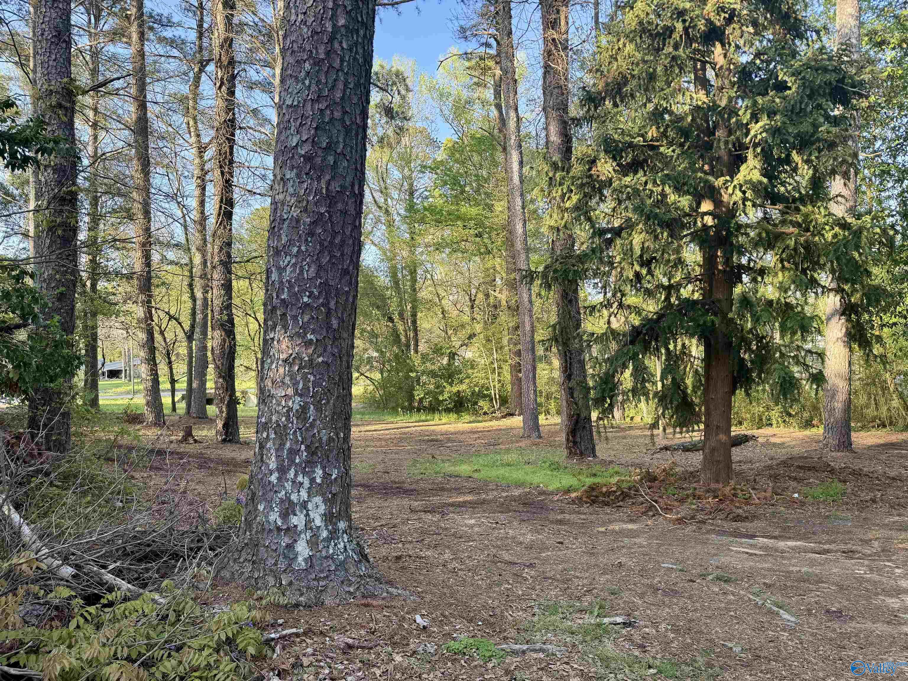206 Summerville Road, Boaz, Alabama image 12