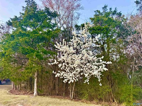 Vacant Land For Sale - 902 Whispering Pines Trail<br/> Morgan County, Decatur, AL 35603