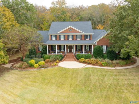 141 Brooks Circle Brownsboro AL 35741