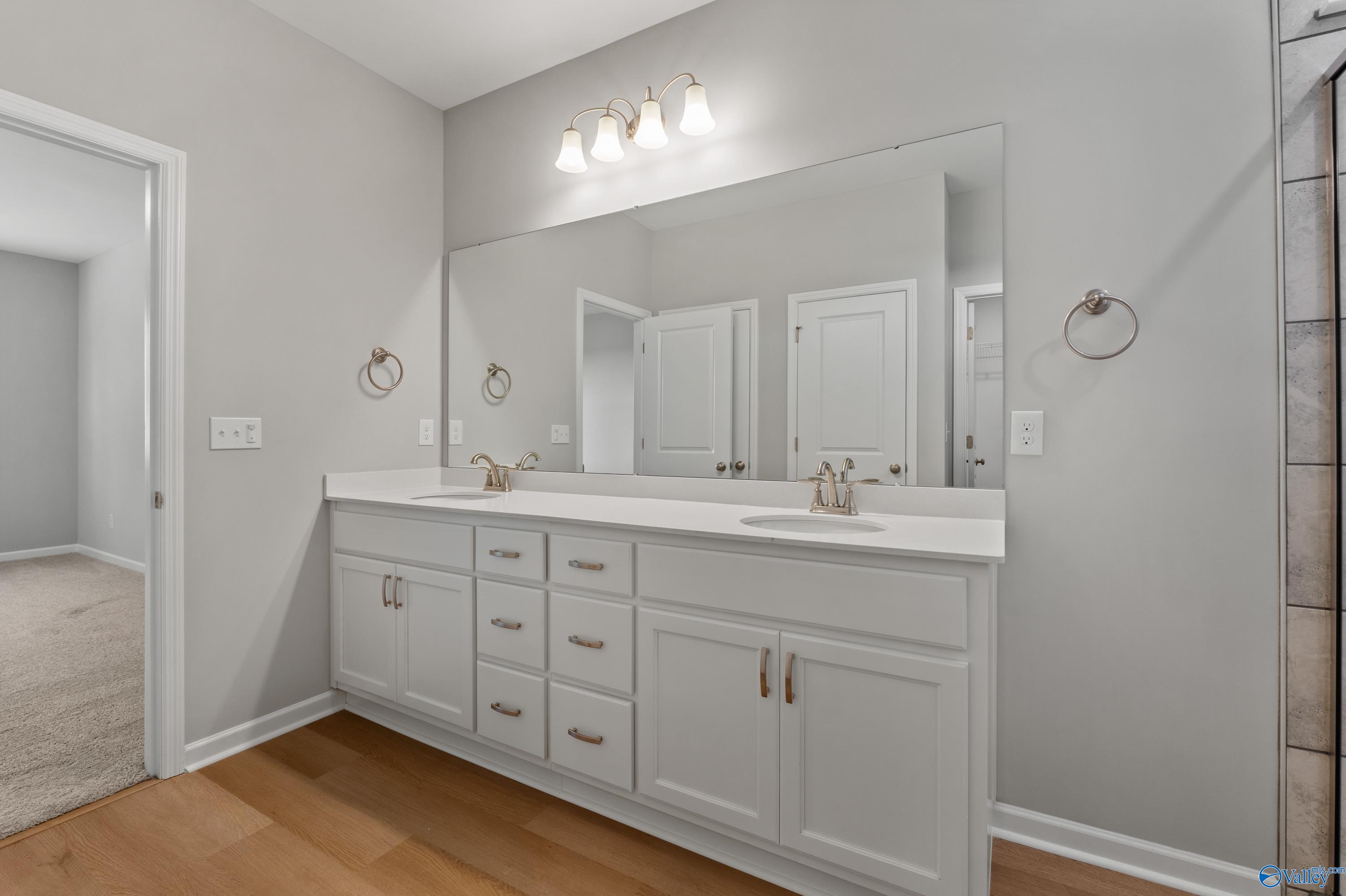 168 Hidden River Drive, Madison, Alabama image 10