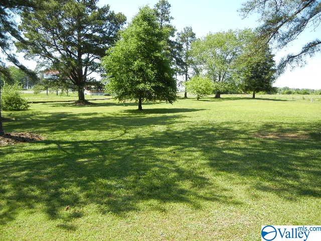 968 Morgan Street, Moulton, Alabama image 36