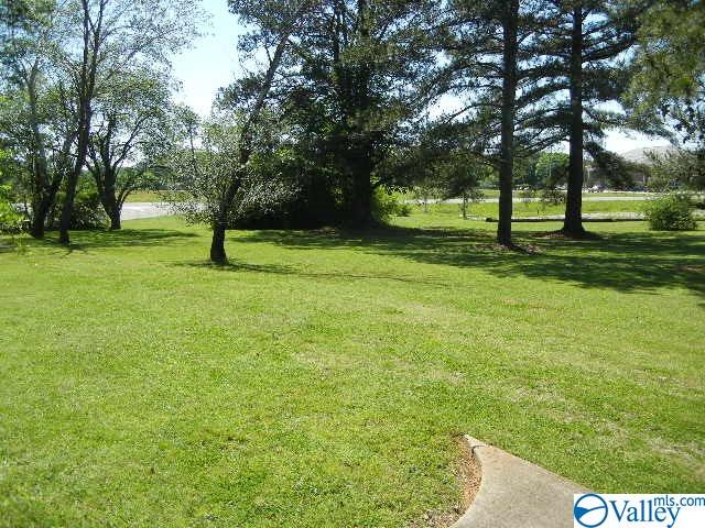 968 Morgan Street, Moulton, Alabama image 37