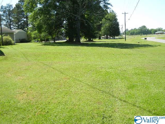 968 Morgan Street, Moulton, Alabama image 43