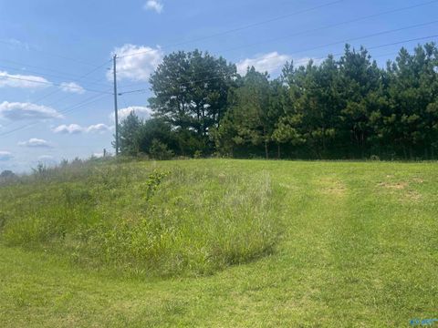 Vacant Land For Sale - 0.80 ACRES Hwy 24<br/> Lawrence County, Town Creek, AL 35672