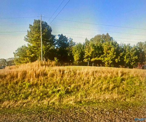 Vacant Land For Sale - 0.80 ACRES Hwy 24<br/> Town Creek, AL 35672