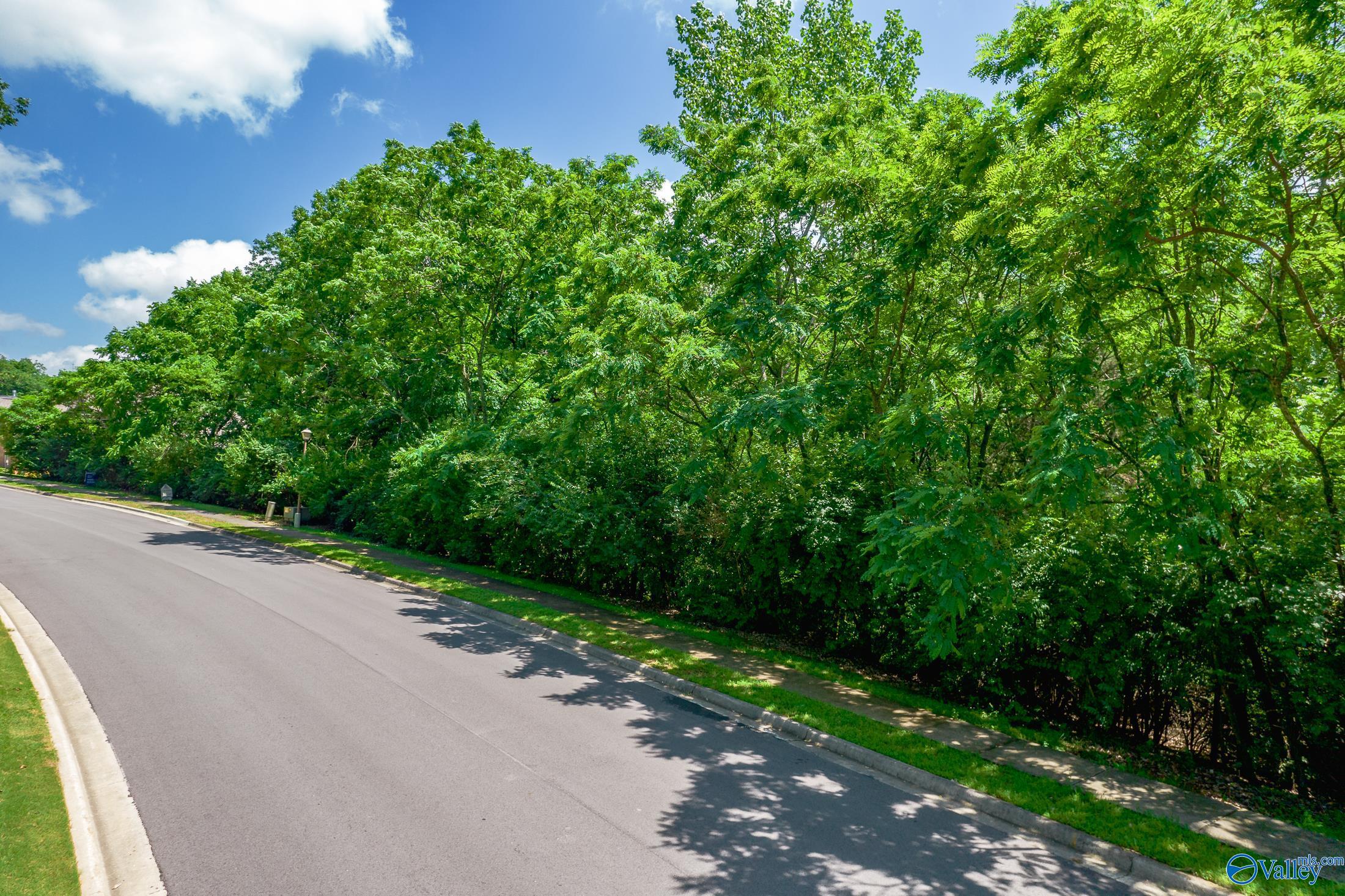 Lot 3 Springhouse Road, Huntsville, Alabama image 24