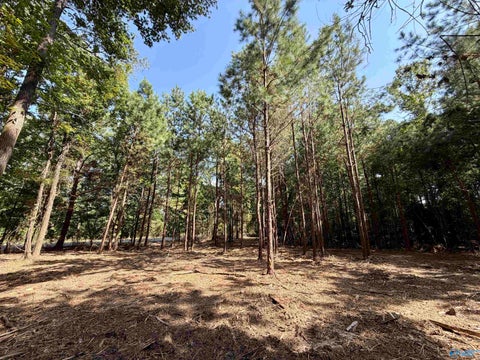 Vacant Land For Sale - 5 ACRES +/- Oakland Drive<br/> Gadsden, AL 35901