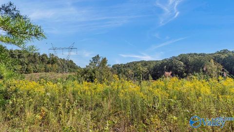 Vacant Land For Sale - 3939 County Road 284<br/> Courtland, AL 35618