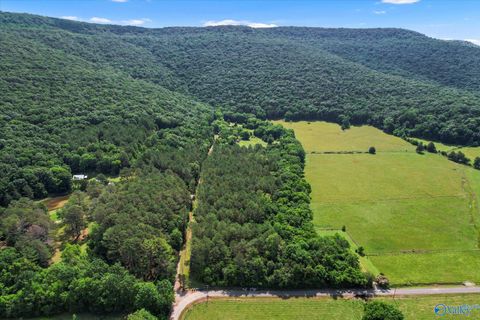 Vacant Land For Sale - 593 Sharps Hollow Road<br/> New Market, AL 35761