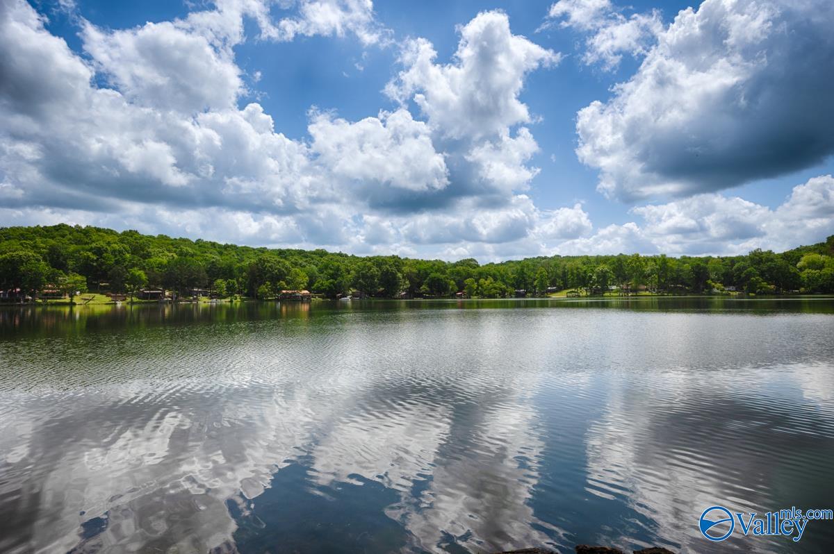 808 Lake Logan Road, Ardmore, Tennessee image 29