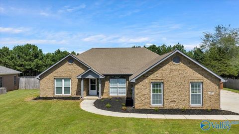 Homes For Sale - 229 Williston Drive<br/> Huntsville, AL 35806