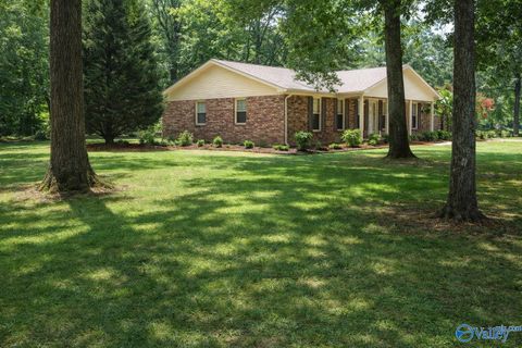 Photo of 1076 County Road 16, Danville, AL 35619 (MLS # 21909914)