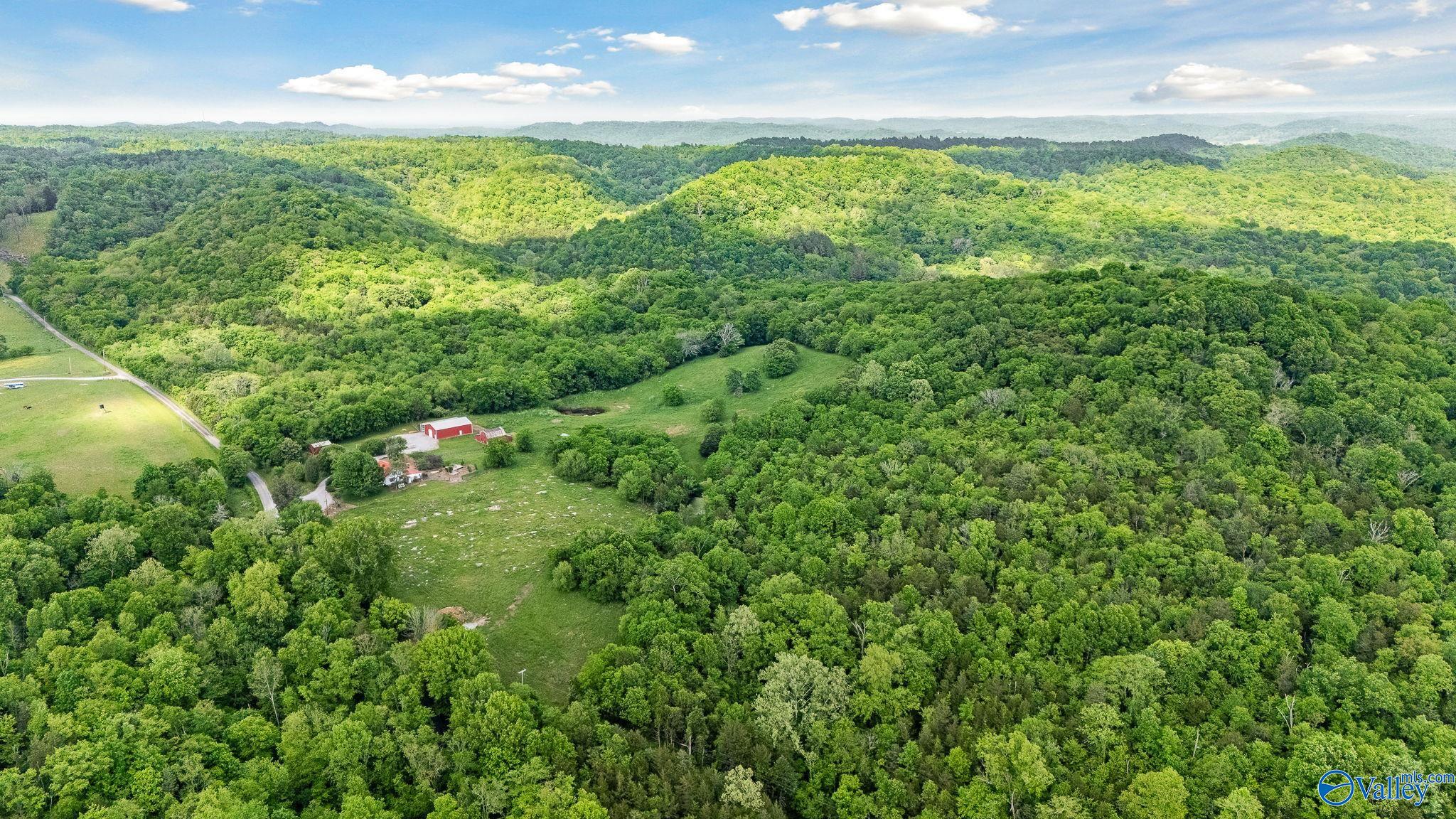 1964 Bradford Road, Petersburg, Tennessee image 48