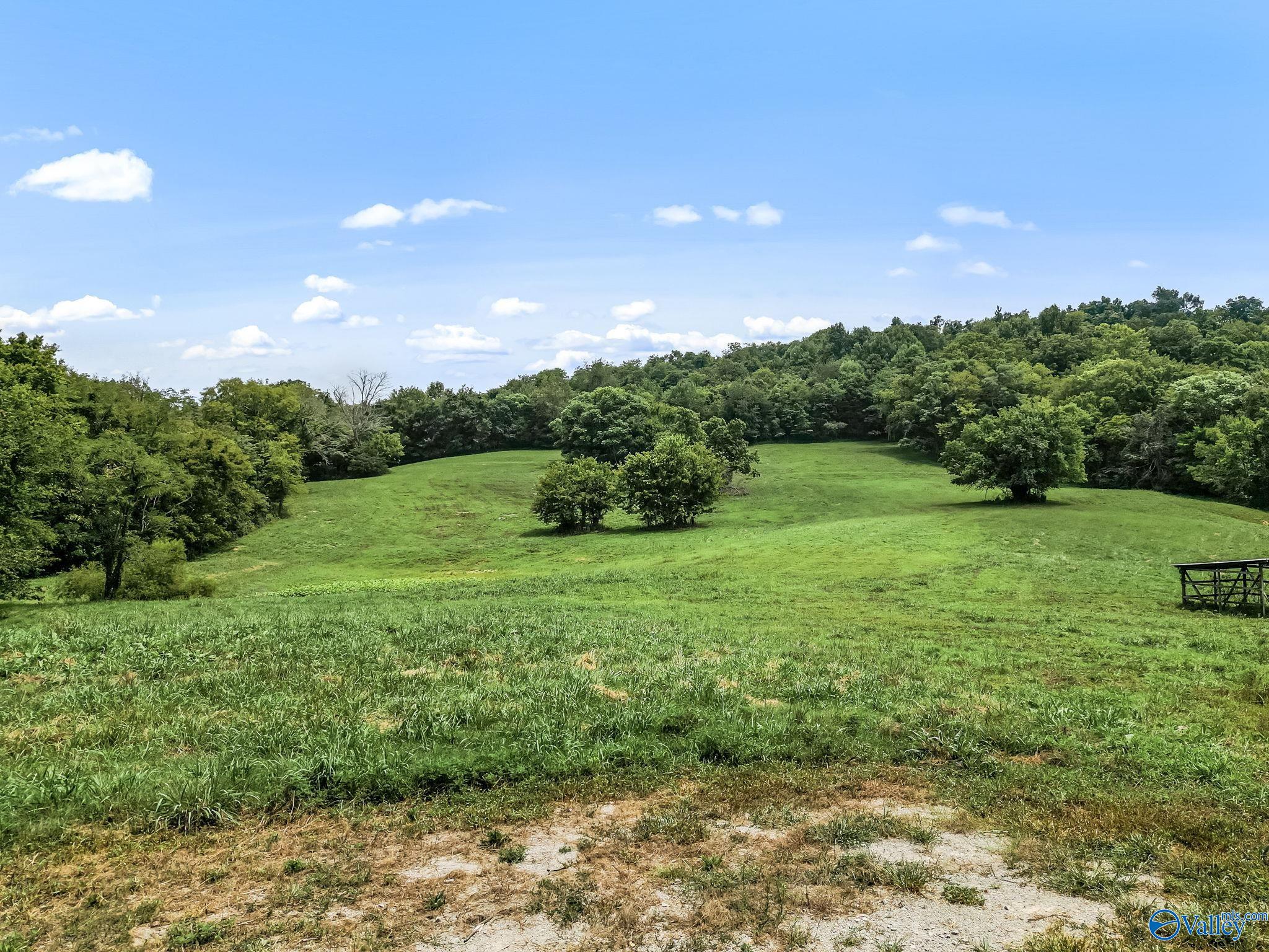 1964 Bradford Road, Petersburg, Tennessee image 39
