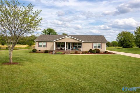 20405 Winfred Drive Tanner AL 35671