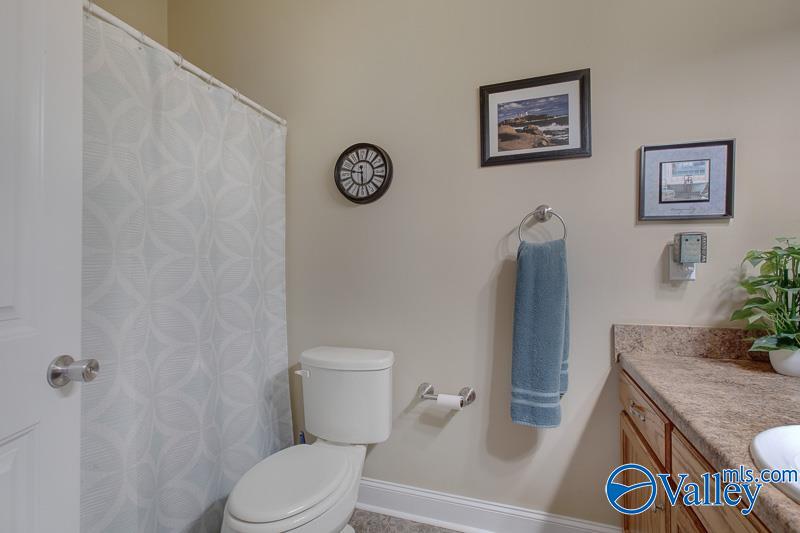 100 Lacebark Drive, Toney, Alabama image 16