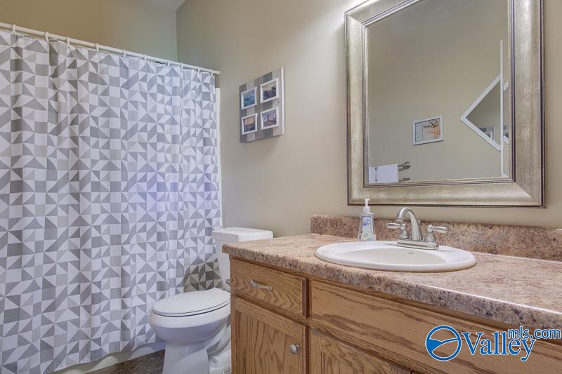 100 Lacebark Drive, Toney, Alabama image 18