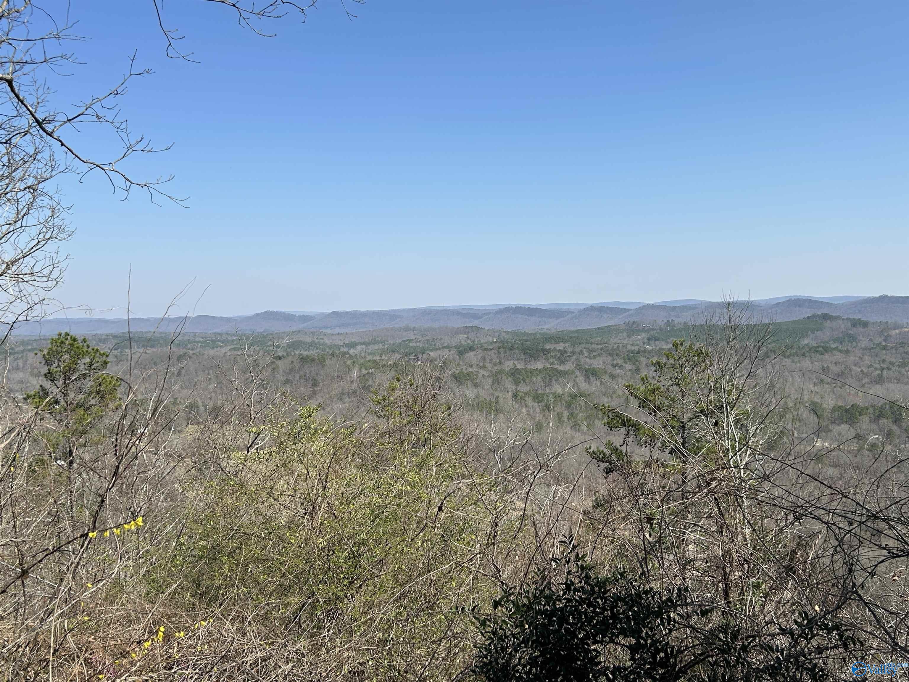 3744 Cox Gap Road, Boaz, Alabama image 34