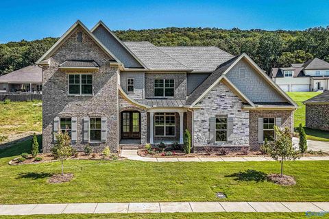 51 Taylors Brook Way Gurley AL 35748