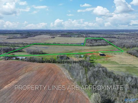 Vacant Land For Sale - 60+/- ACRES County Road 460<br/> Lawrence County, Mount Hope, AL 35651