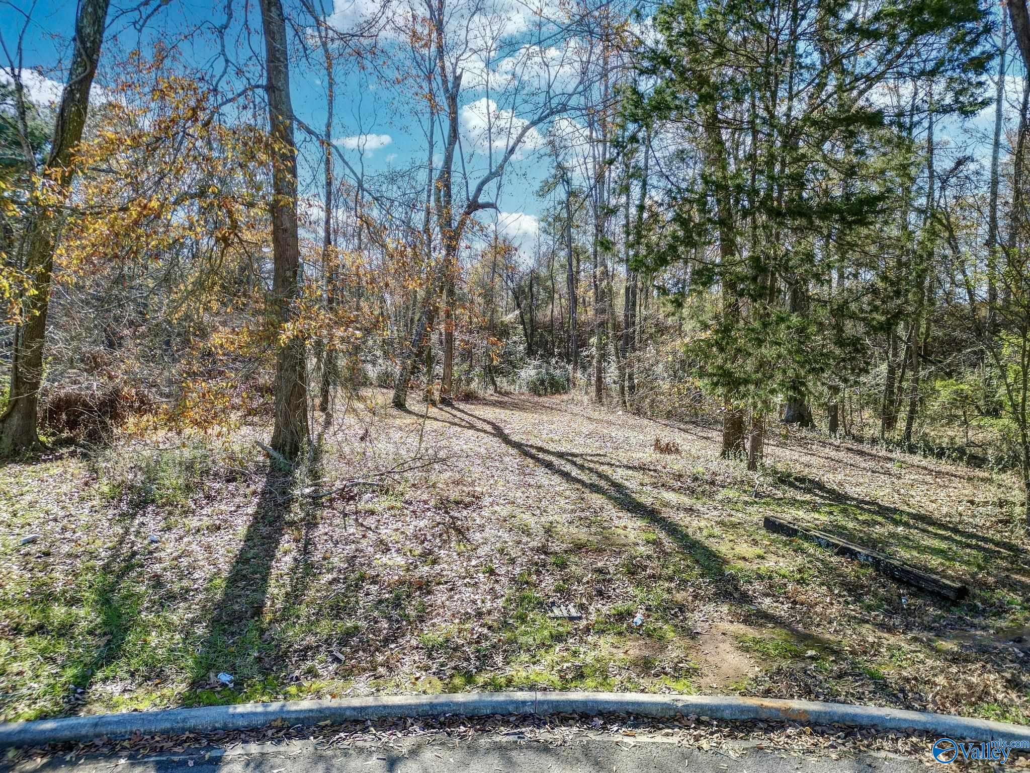 Lot 12 Pruett Circle, Scottsboro, Alabama image 5