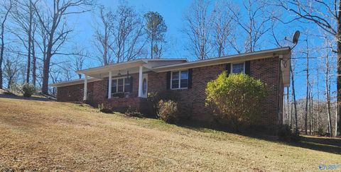 Homes For Sale - 703 Rock Cliff Road<br/> Marion County, Hamilton, AL 35570