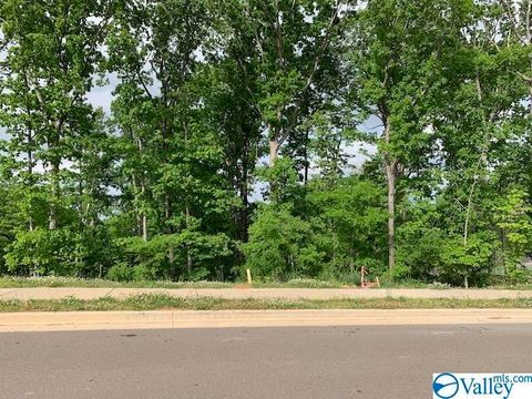 Vacant Land For Sale - 30 Watson Grande Way<br/> Owens Cross Roads, AL 35763