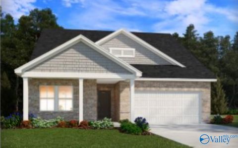 29328 Satilla Circle Madison AL 35756