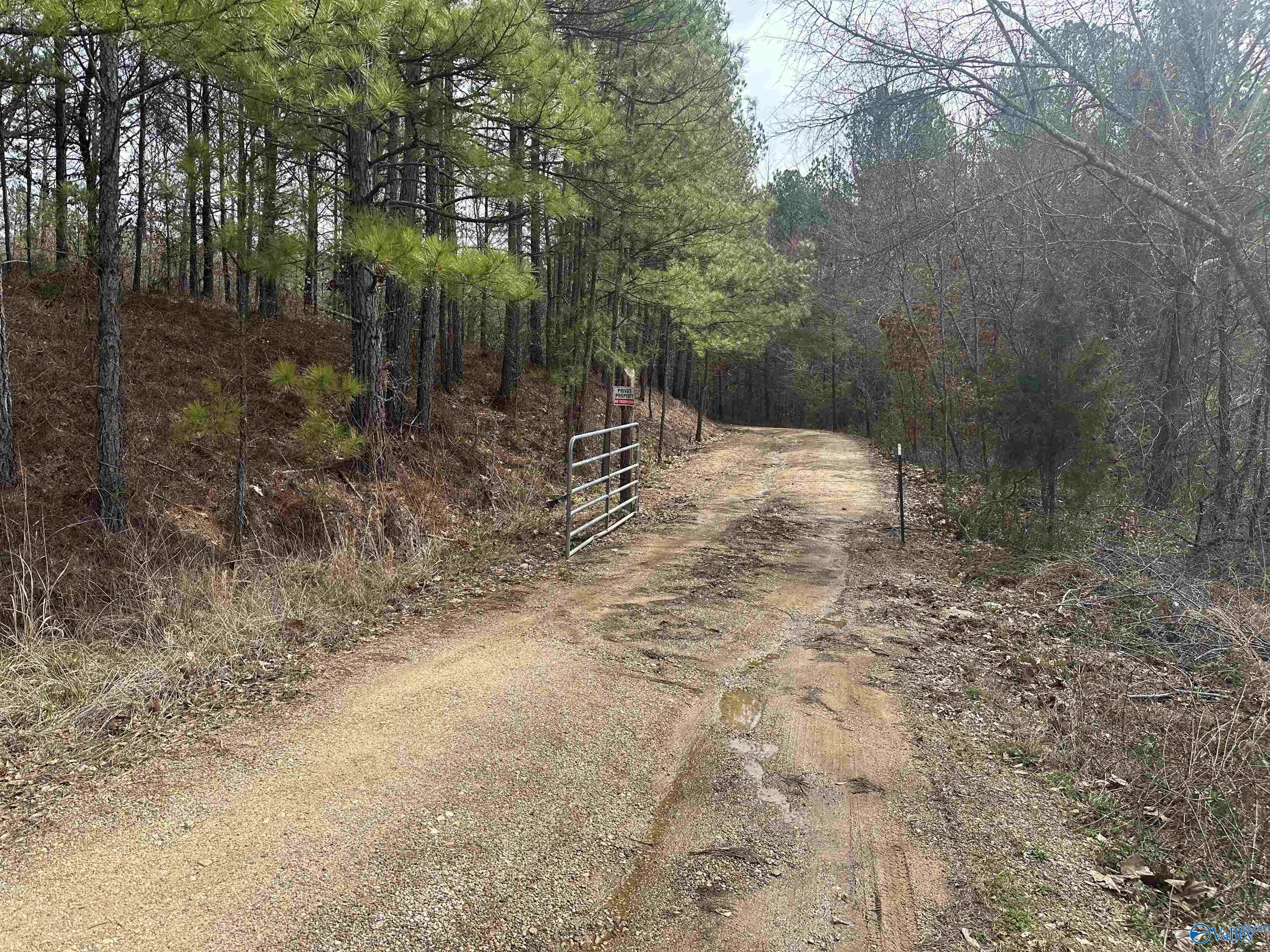 1456 County Road 113, Centre, Alabama image 20