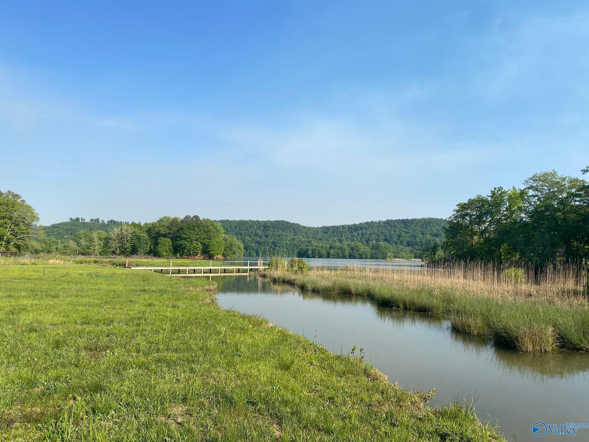 Lot 18 County Road 243, Cedar Bluff, Alabama image 6