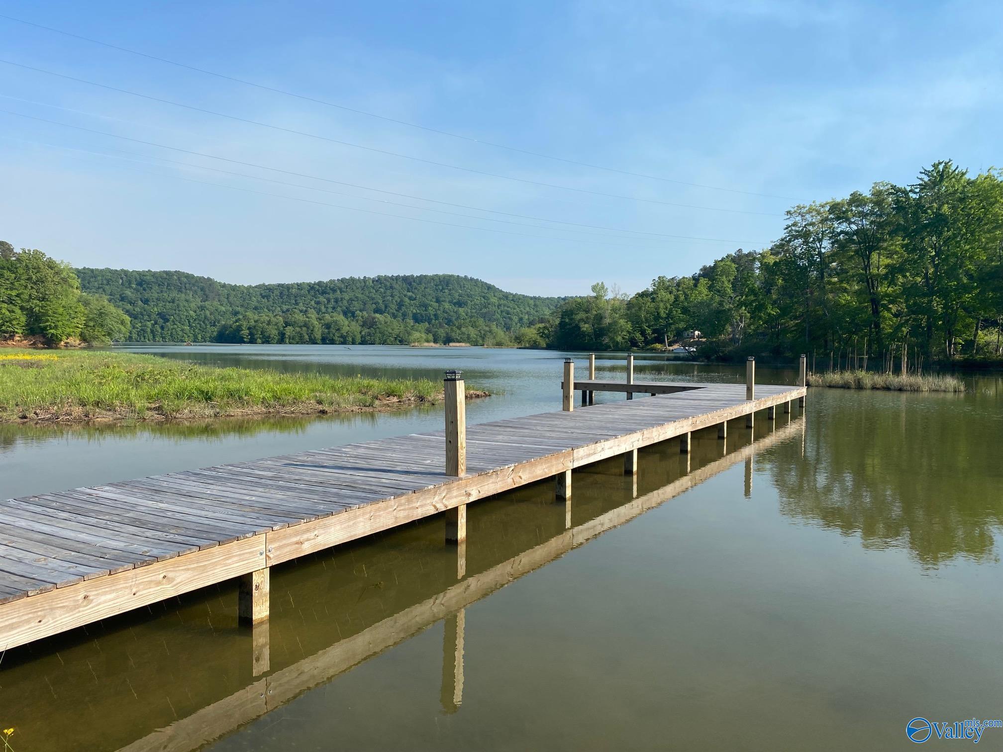 Lot 18 County Road 243, Cedar Bluff, Alabama image 4