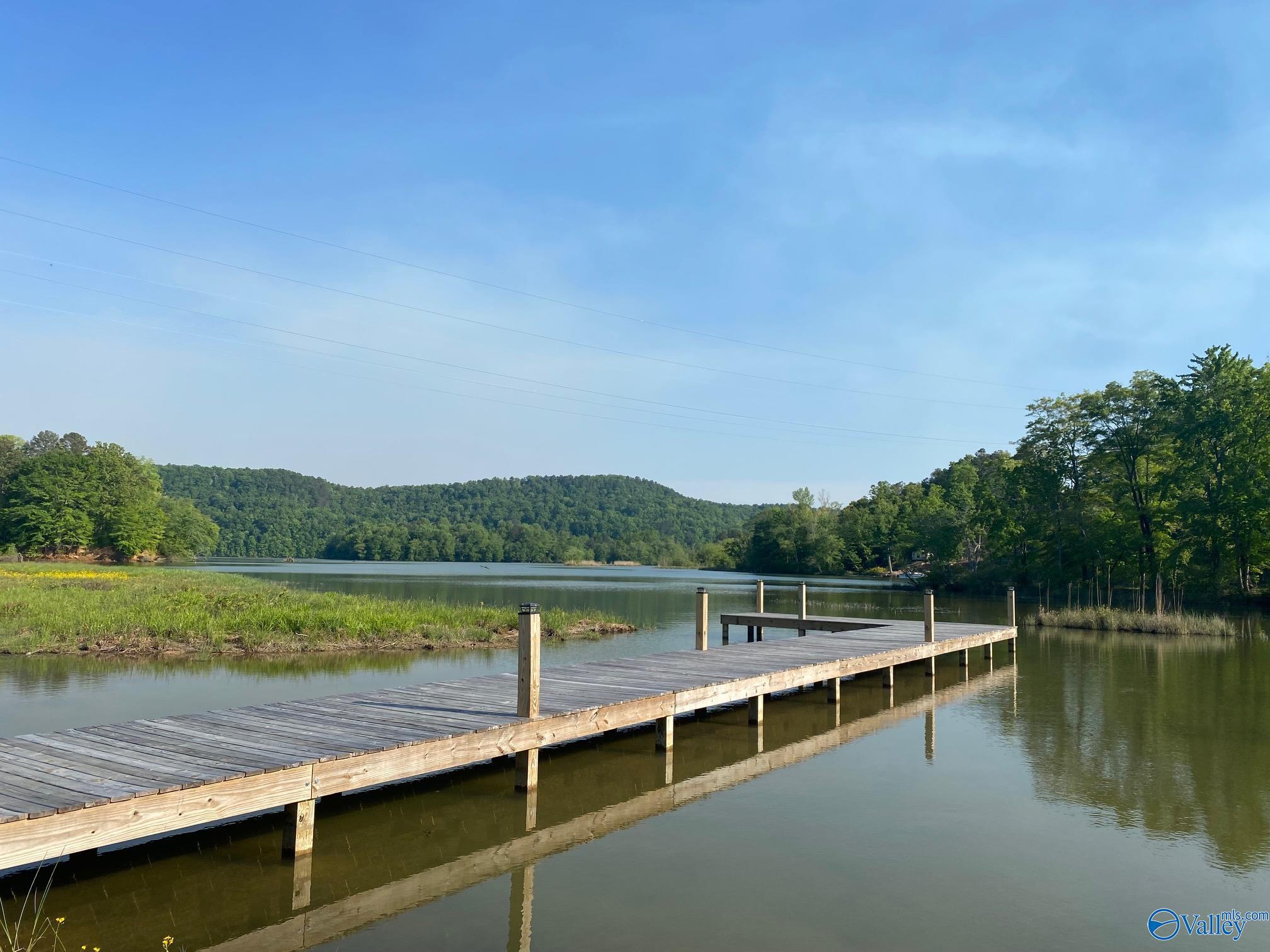 Lot 18 County Road 243, Cedar Bluff, Alabama image 1