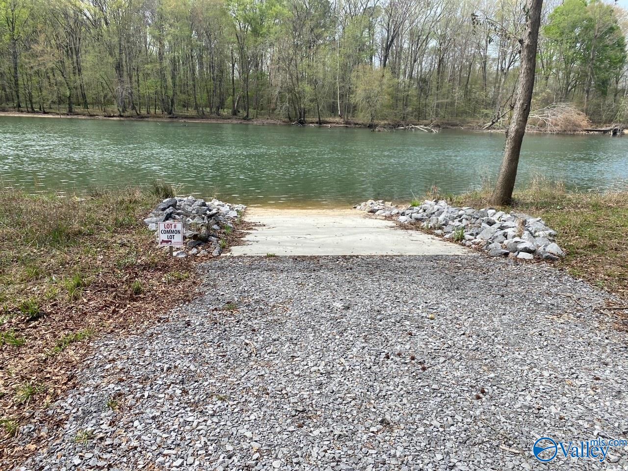 Lot 18 County Road 243, Cedar Bluff, Alabama image 8
