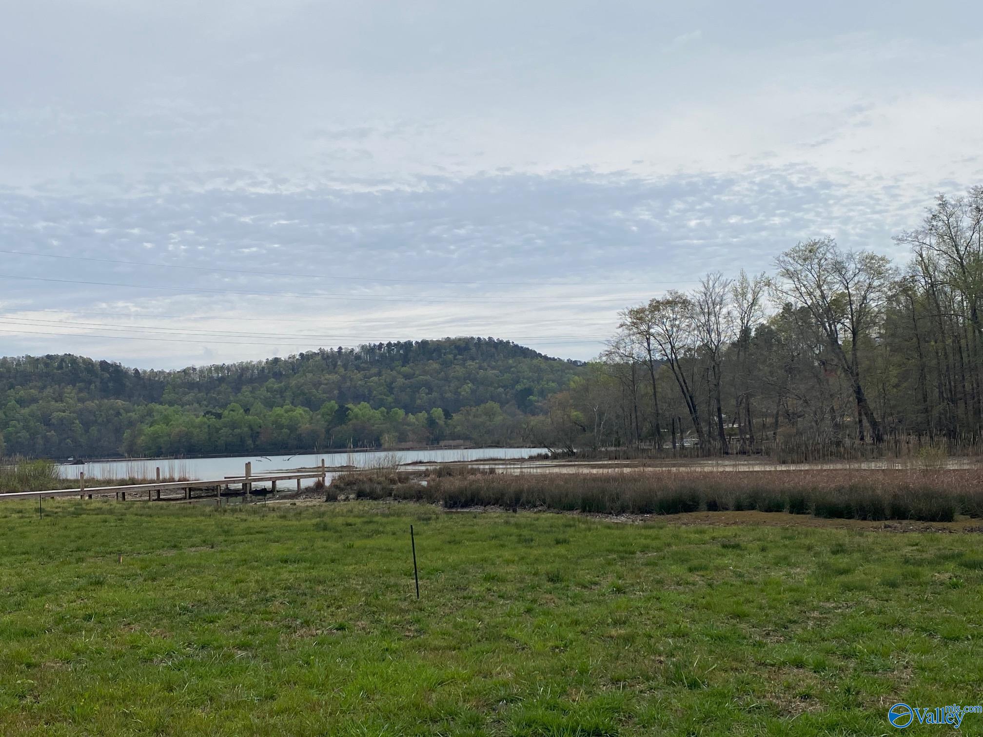 Lot 18 County Road 243, Cedar Bluff, Alabama image 2