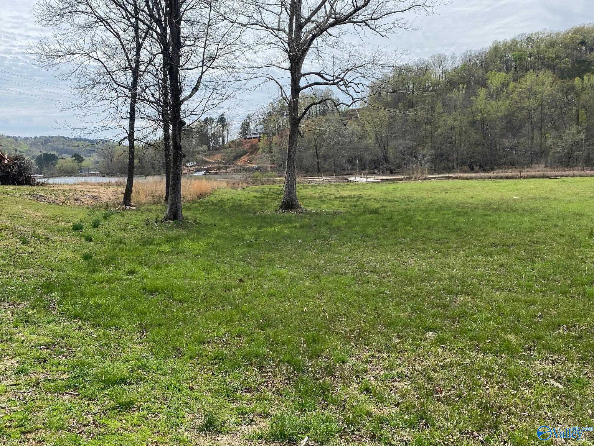 Lot 18 County Road 243, Cedar Bluff, Alabama image 3