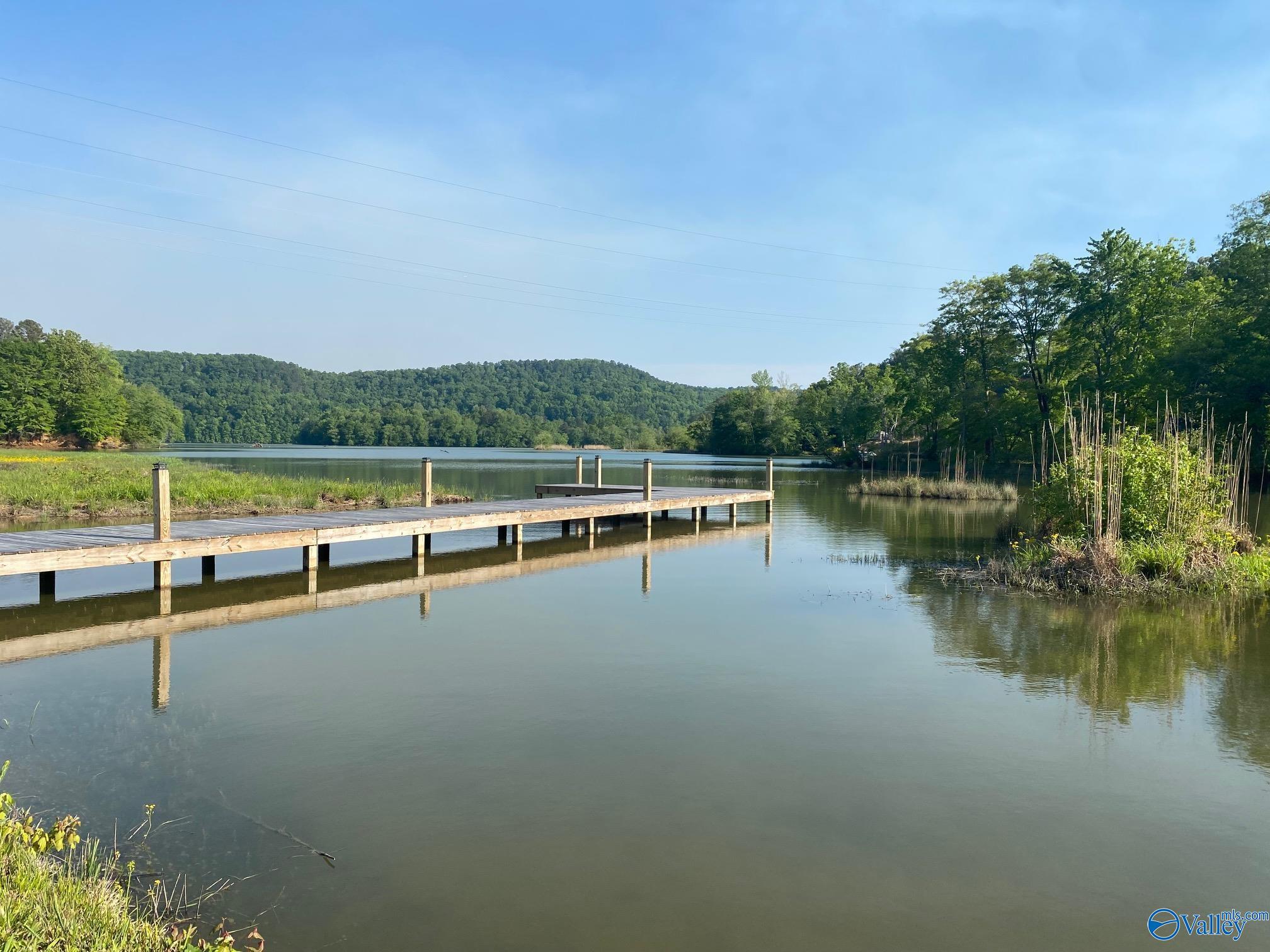 Lot 18 County Road 243, Cedar Bluff, Alabama image 5