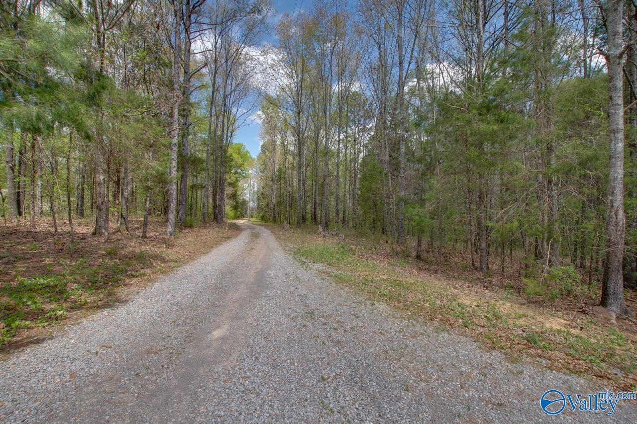 338 Paint Rock Road, New Hope, Alabama image 3