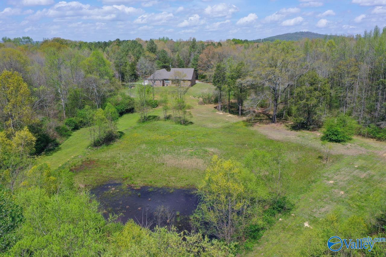 338 Paint Rock Road, New Hope, Alabama image 12