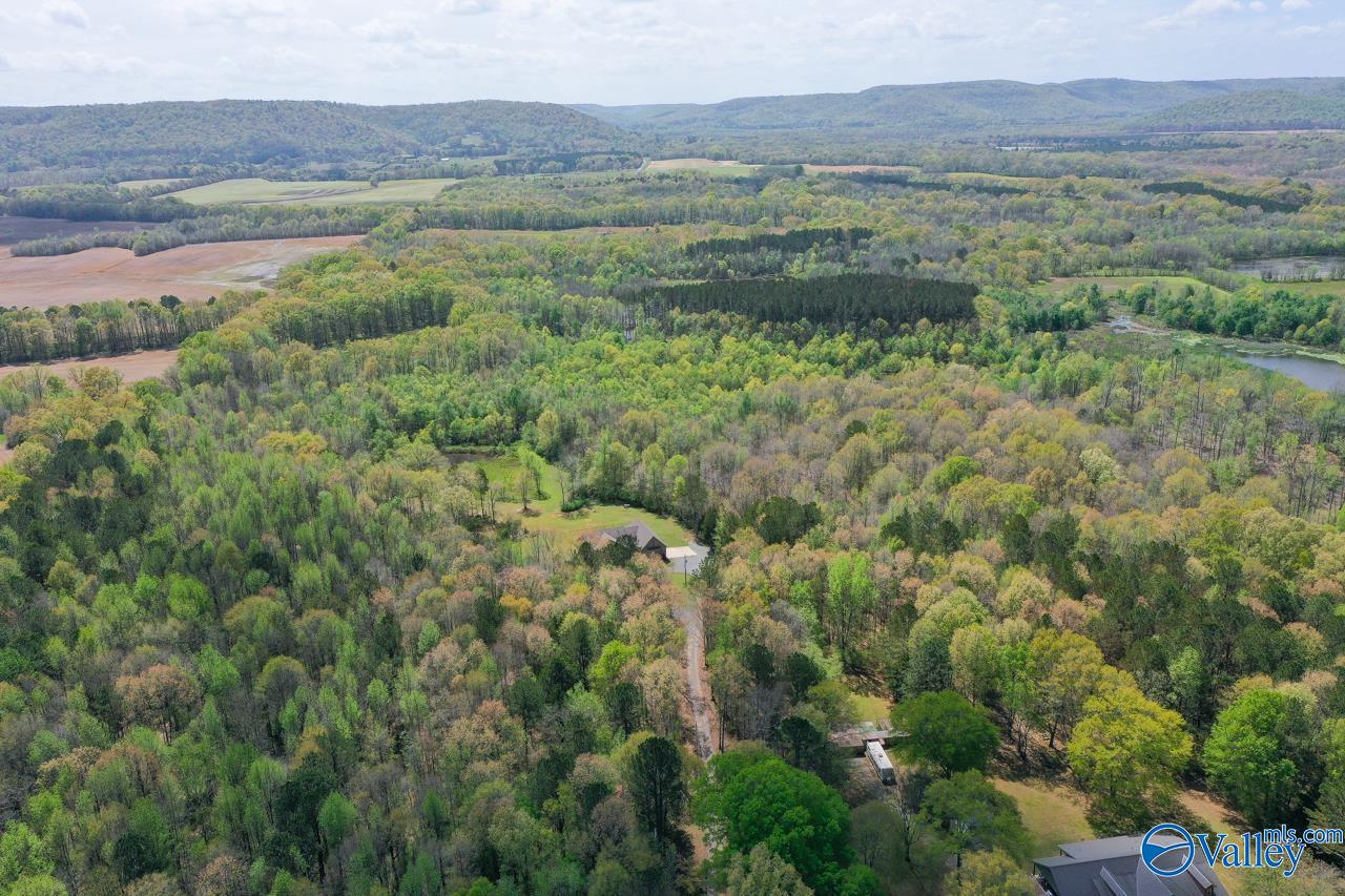 338 Paint Rock Road, New Hope, Alabama image 8