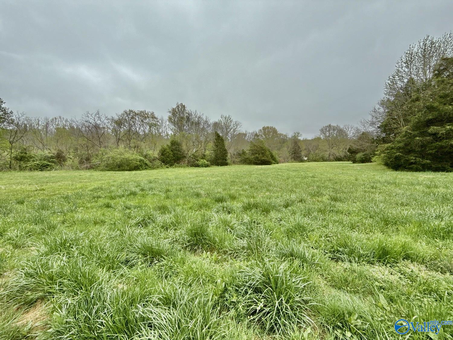 39 Acres Mint Springs Road, New Market, Alabama image 6