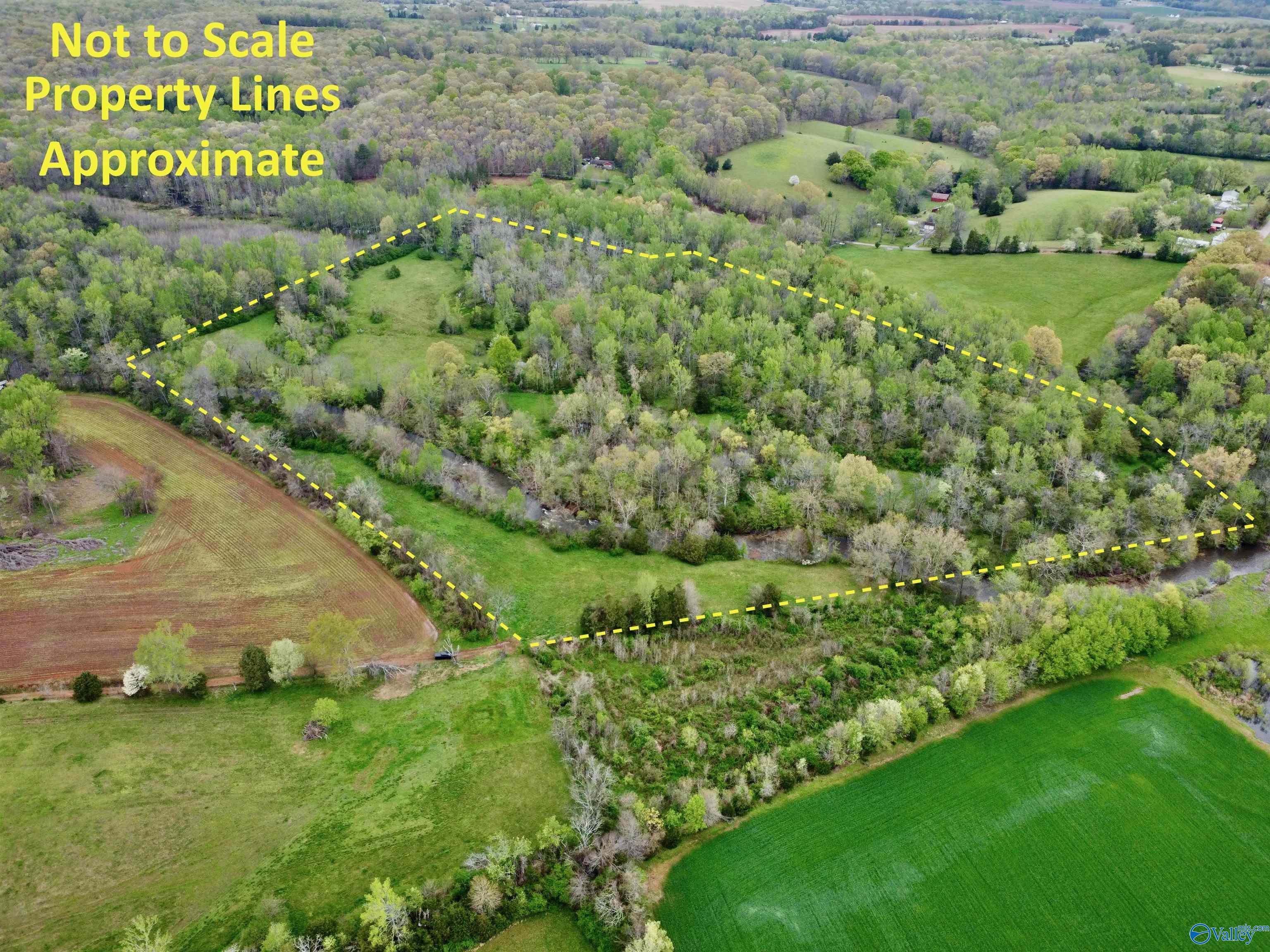 39 Acres Mint Springs Road, New Market, Alabama image 2
