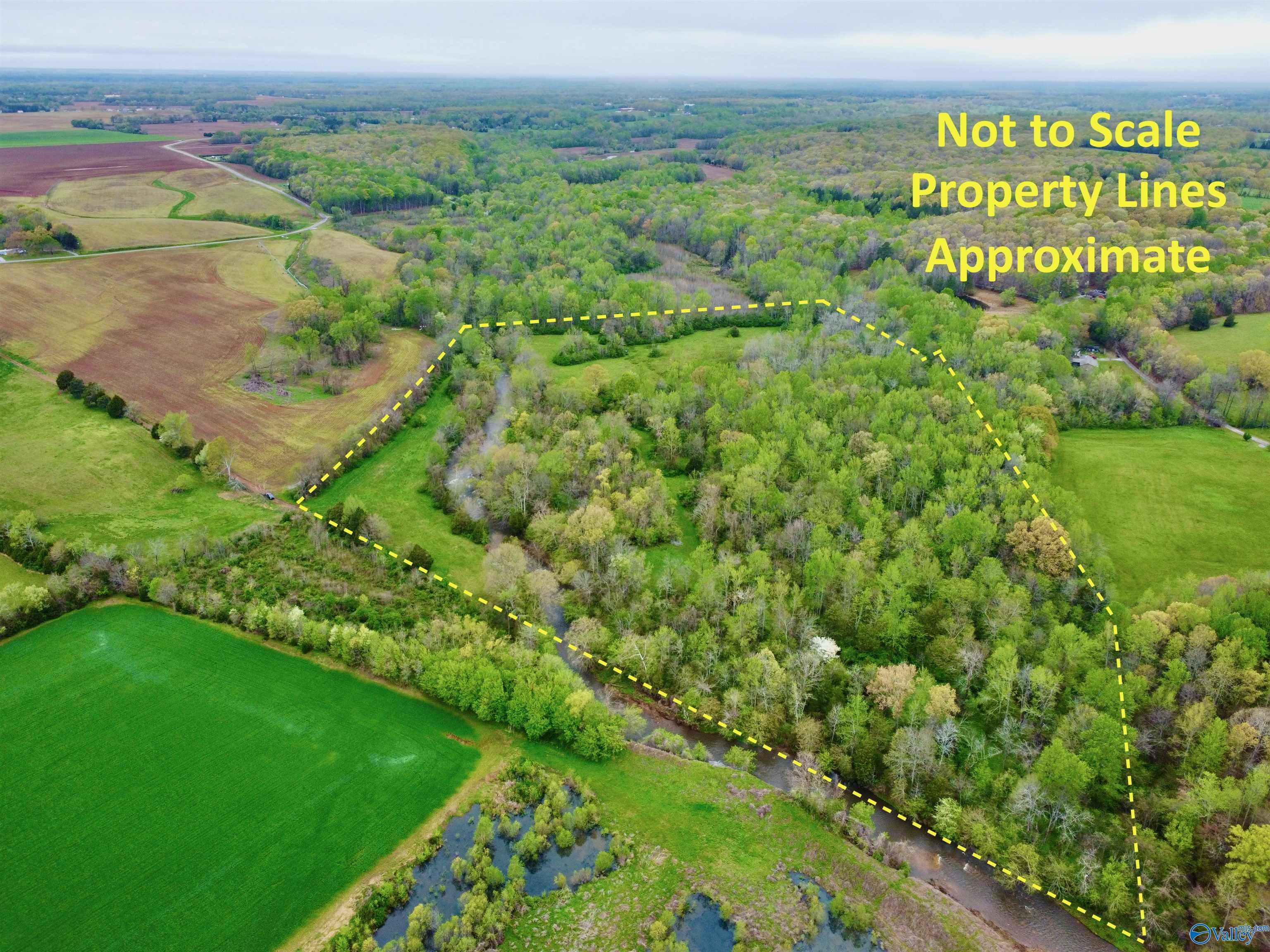 39 Acres Mint Springs Road, New Market, Alabama image 3