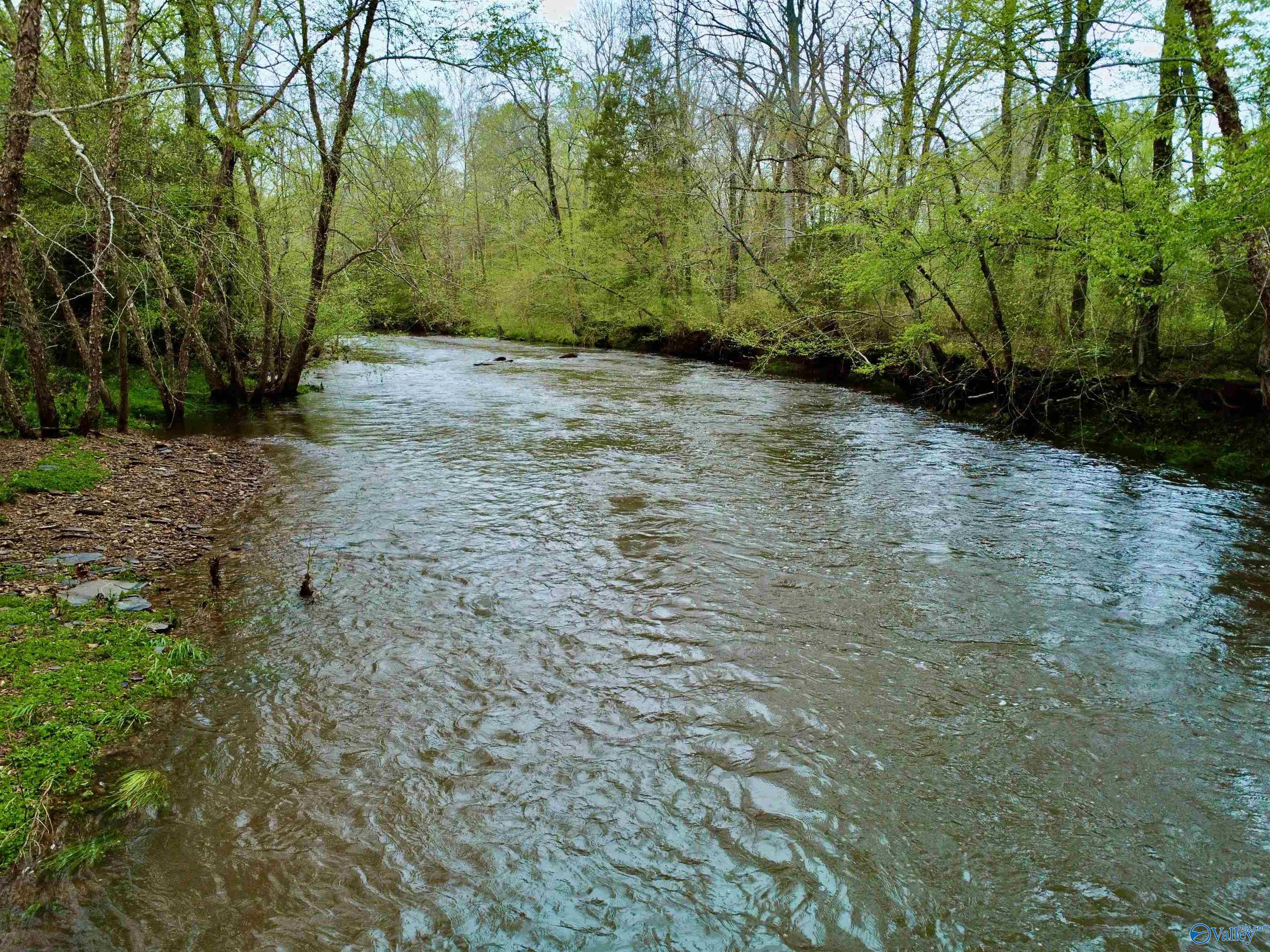 39 Acres Mint Springs Road, New Market, Alabama image 1
