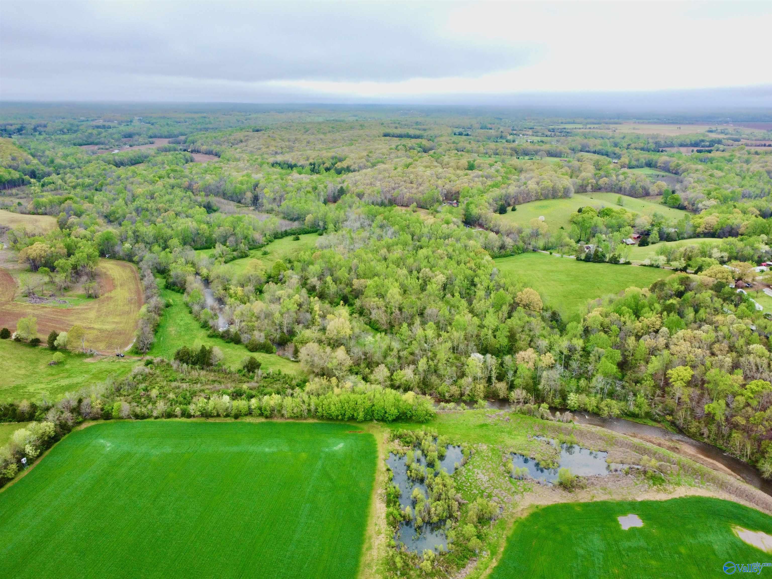 39 Acres Mint Springs Road, New Market, Alabama image 4
