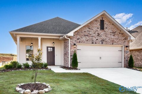 Homes For Sale - 15620 Mizewell Lane<br/> Harvest, AL 35749