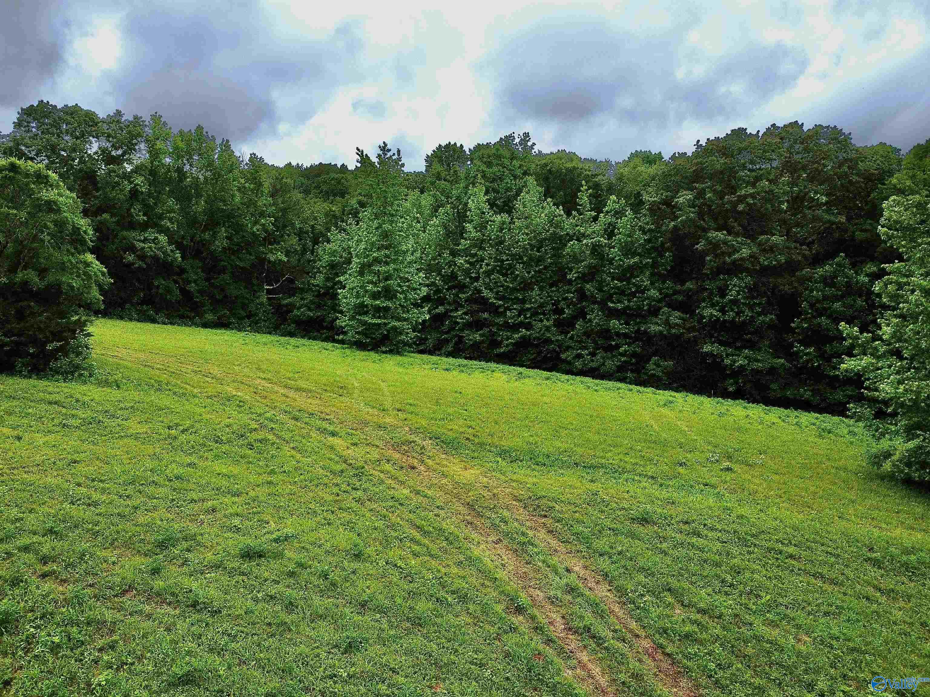 8.5 Acres Compton Street, Elkmont, Alabama image 6