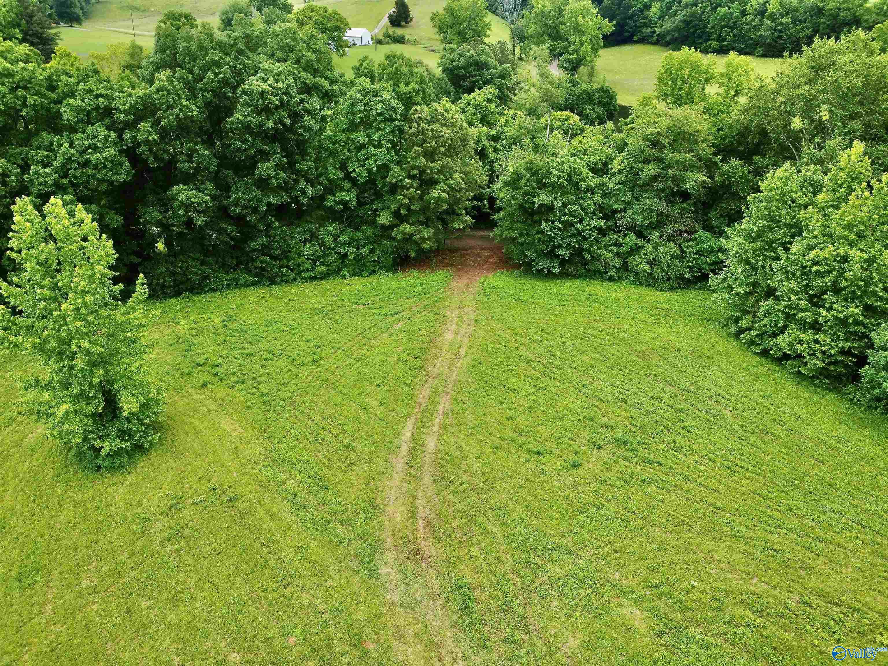 8.5 Acres Compton Street, Elkmont, Alabama image 9