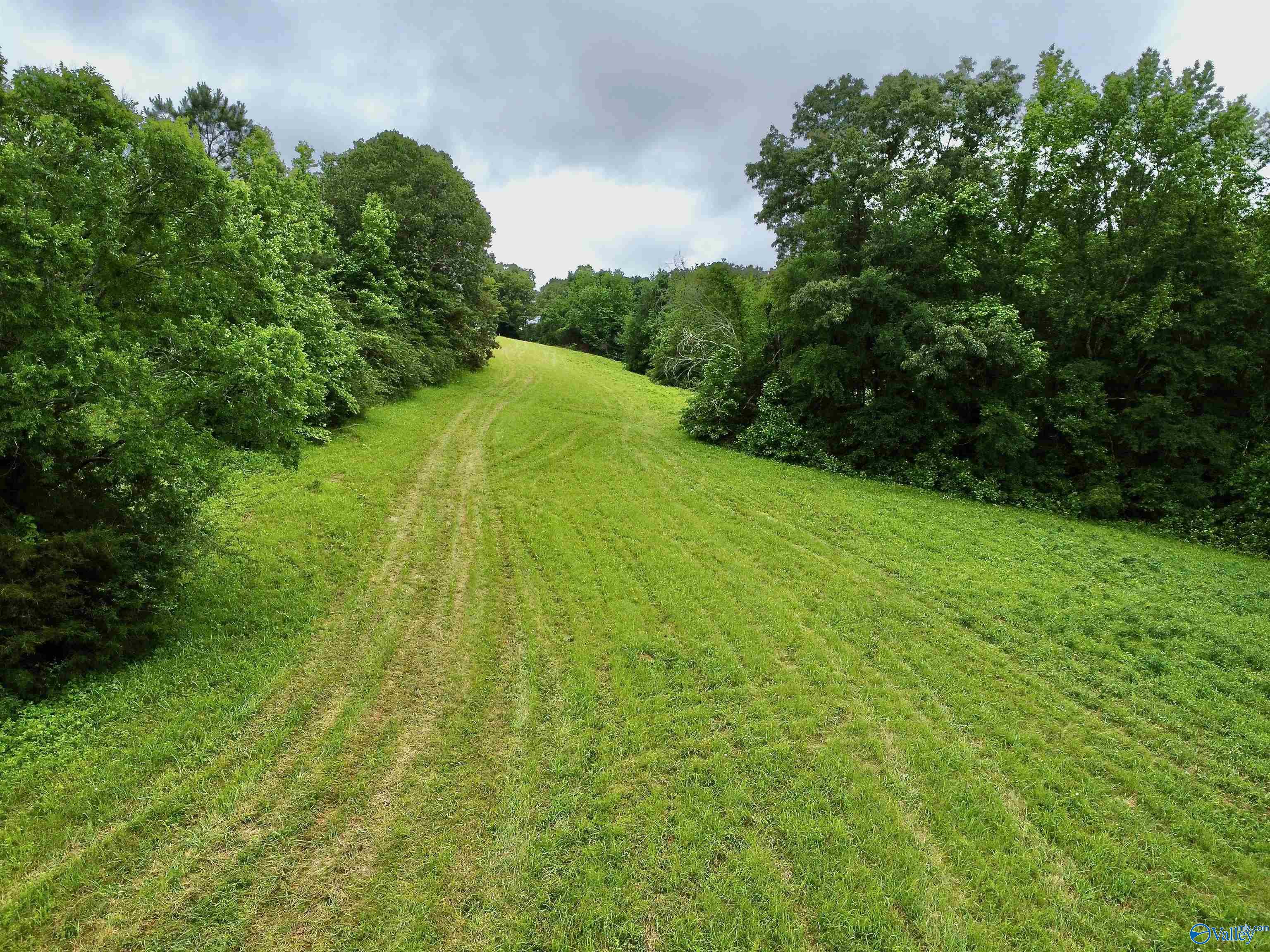 8.5 Acres Compton Street, Elkmont, Alabama image 7