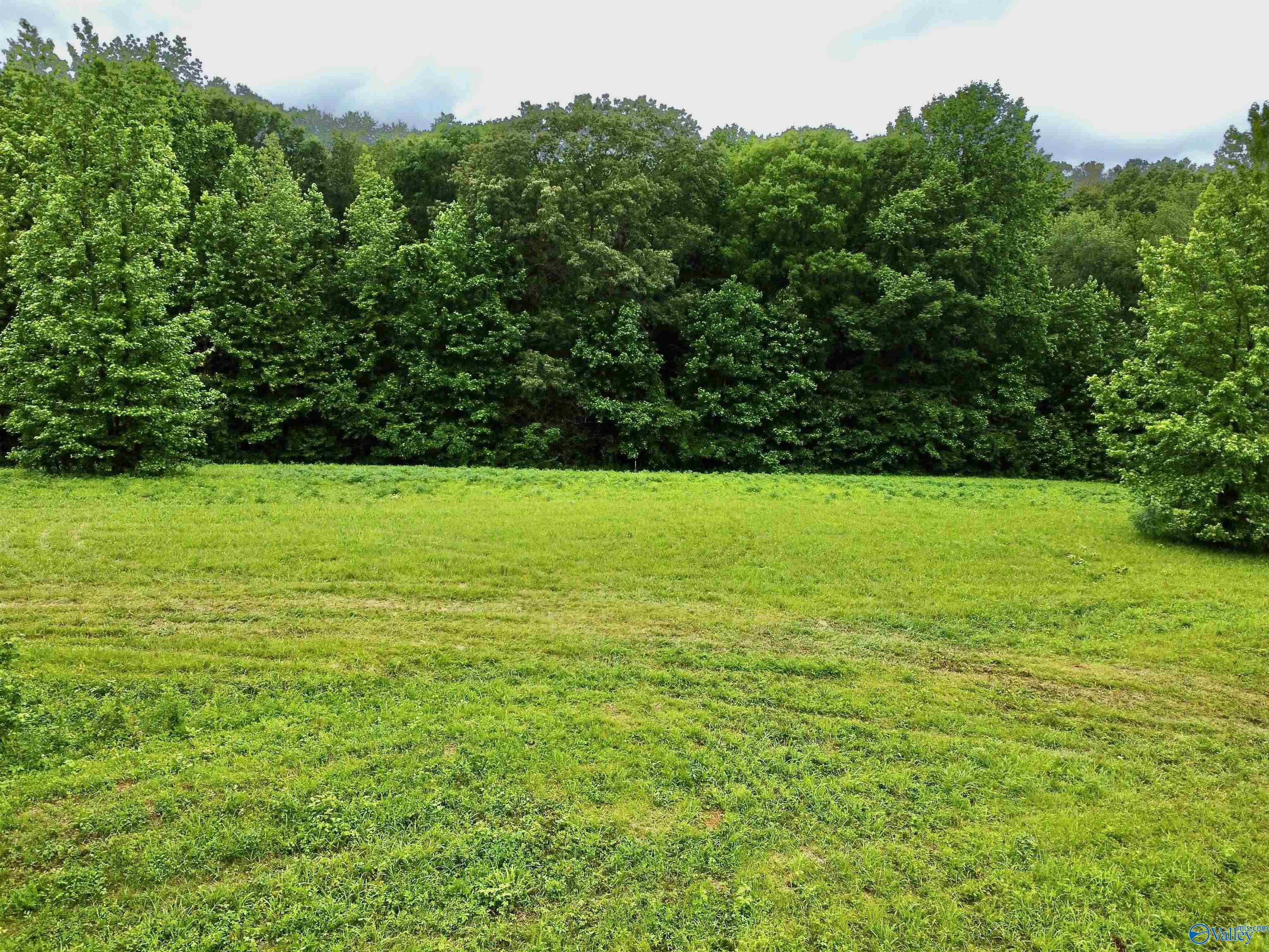 8.5 Acres Compton Street, Elkmont, Alabama image 5